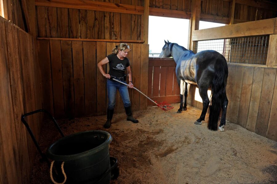 Power Washing Your Equine Barn