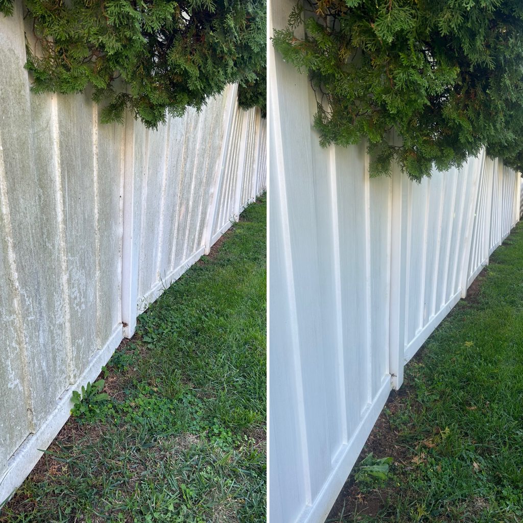 Fences
